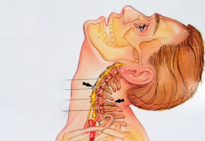 ang istruktura sa cervical vertebrae
