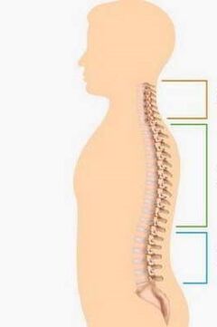 ang samad sa osteochondrosis sa lainlaing mga bahin sa spine